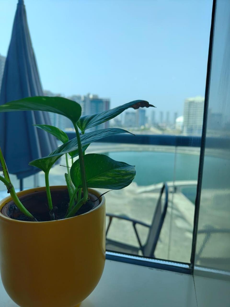 Studio In The Heart Of Sports City -Great View & Amenities! Ντουμπάι Εξωτερικό φωτογραφία